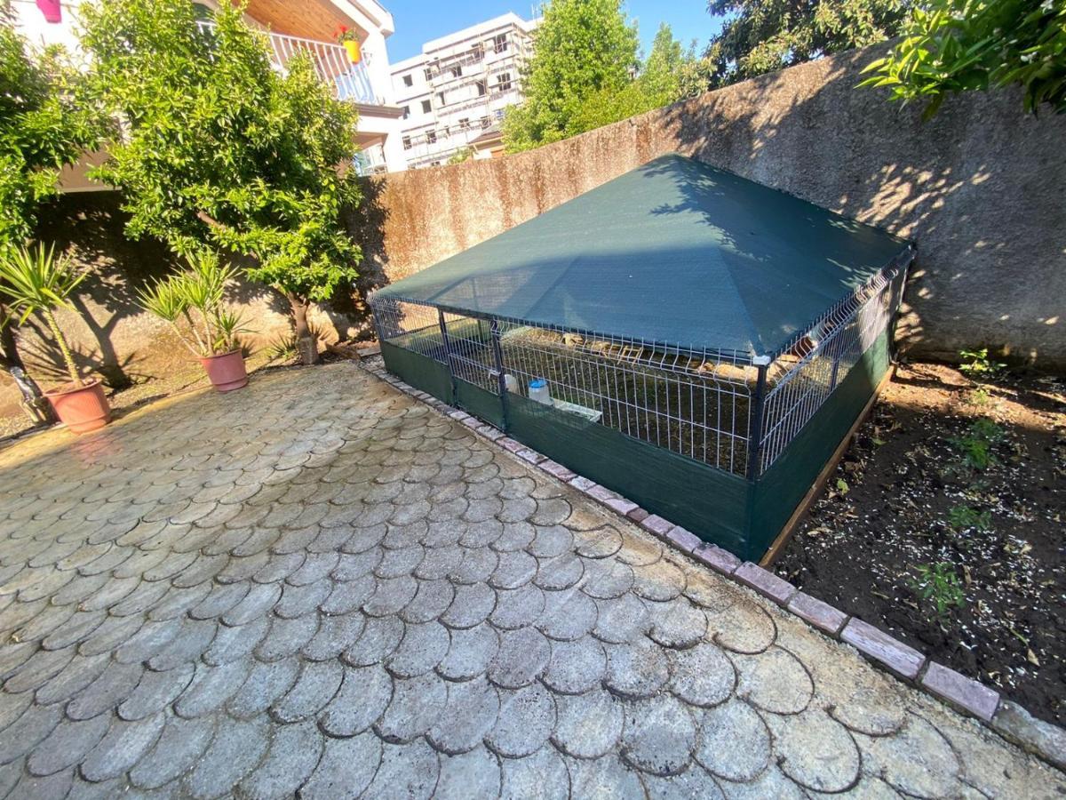 Gather Inn Guest House Szkodra Zewnętrze zdjęcie