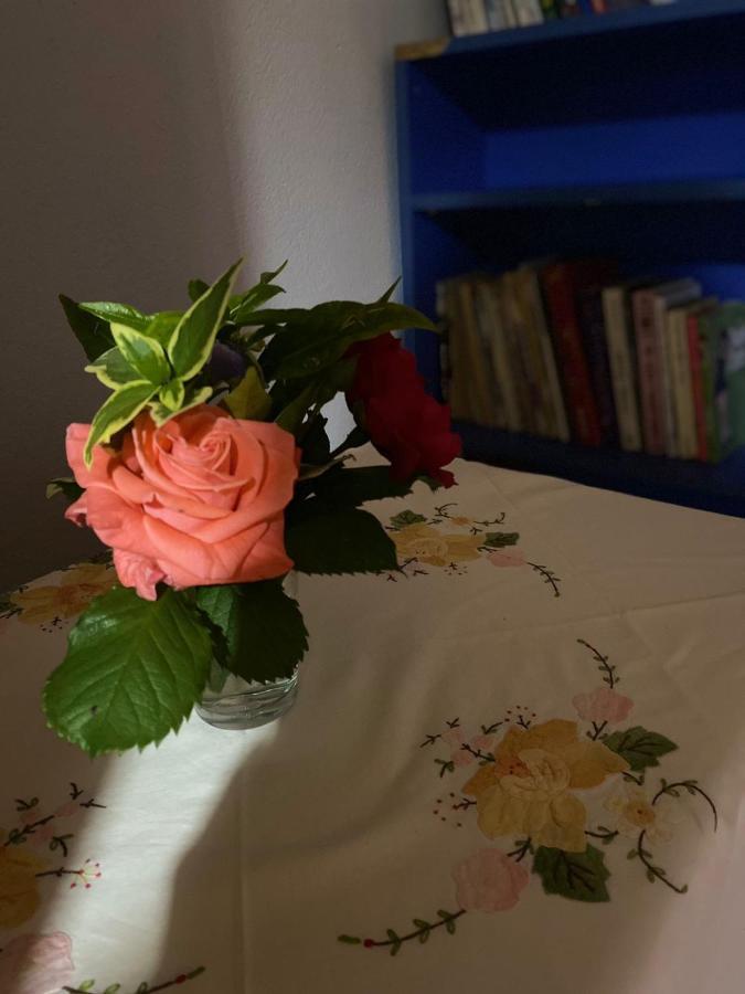 Gather Inn Guest House Szkodra Zewnętrze zdjęcie